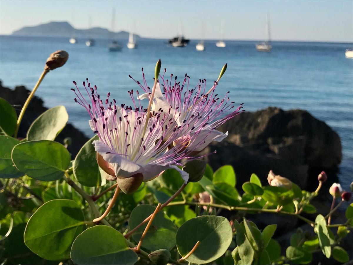 Zaffiro Lavico Rooms Etna Nature Sea Acireale Exterior foto